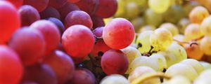 Preview wallpaper grapes, berries, fruits