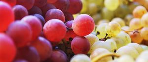 Preview wallpaper grapes, berries, fruits