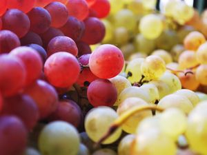 Preview wallpaper grapes, berries, fruits