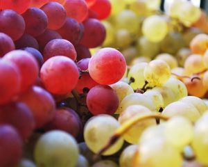 Preview wallpaper grapes, berries, fruits