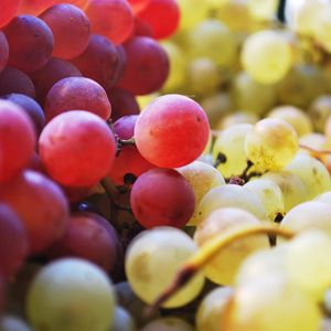 Preview wallpaper grapes, berries, fruits