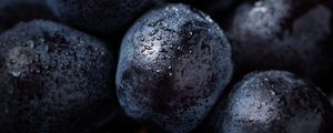 Preview wallpaper grapes, berry, drops, macro, ripe