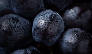 Preview wallpaper grapes, berry, drops, macro, ripe