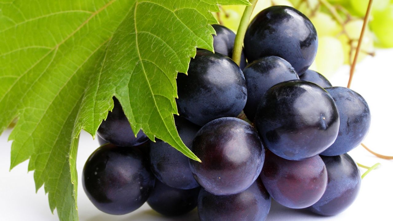 Download wallpaper 1280x720 grapes, berry, sheet, branch hd, hdv, 720p