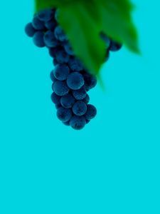 Preview wallpaper grapes, bunch, berries, macro, wet