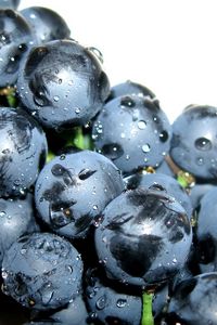 Preview wallpaper grapes, drops, black