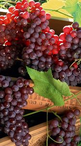 Preview wallpaper grapes, fruit, boxes, clusters