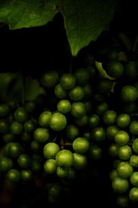 Preview wallpaper grapes, fruit, macro, dark