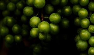 Preview wallpaper grapes, fruit, macro, dark