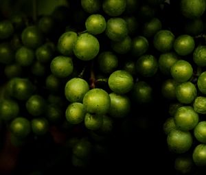 Preview wallpaper grapes, fruit, macro, dark