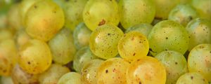 Preview wallpaper grapes, fruits, macro