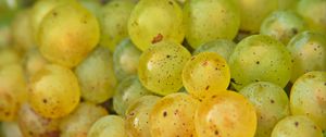 Preview wallpaper grapes, fruits, macro