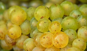 Preview wallpaper grapes, fruits, macro