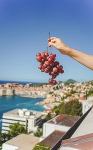 Preview wallpaper grapes, hand, fruit, vine