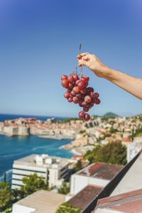 Preview wallpaper grapes, hand, fruit, vine