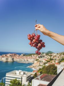 Preview wallpaper grapes, hand, fruit, vine