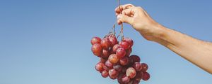 Preview wallpaper grapes, hand, fruit, vine