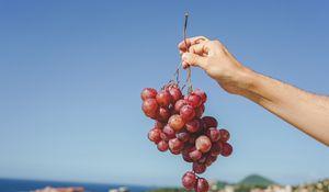 Preview wallpaper grapes, hand, fruit, vine