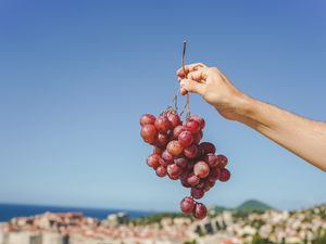 Preview wallpaper grapes, hand, fruit, vine