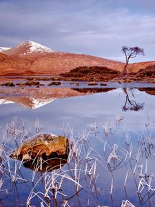 Preview wallpaper grass, autumn, lake, cloudy, reflection, stone, tree, landscape, cold