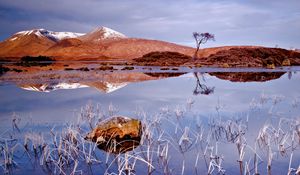 Preview wallpaper grass, autumn, lake, cloudy, reflection, stone, tree, landscape, cold