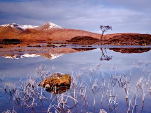 Preview wallpaper grass, autumn, lake, cloudy, reflection, stone, tree, landscape, cold