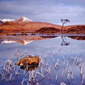 Preview wallpaper grass, autumn, lake, cloudy, reflection, stone, tree, landscape, cold