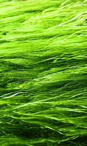 Preview wallpaper grass, background, green, blur