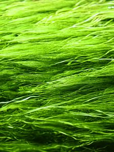 Preview wallpaper grass, background, green, blur