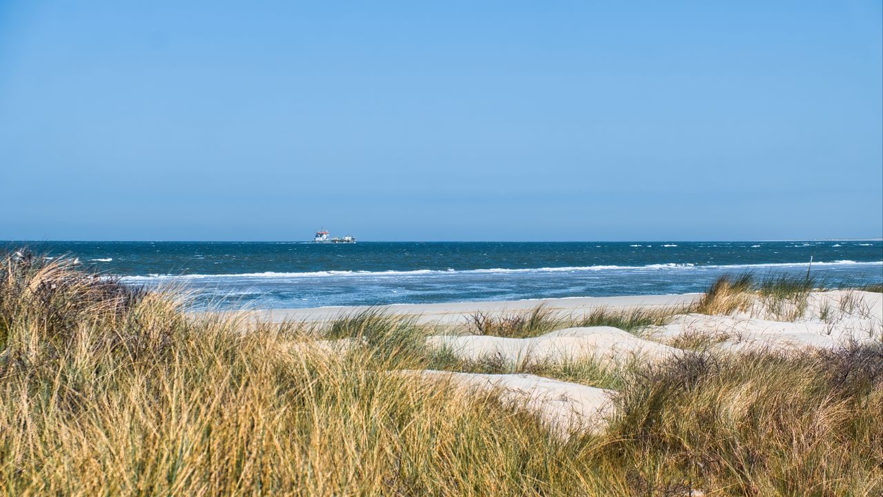 Wallpaper grass, beach, sea, waves, horizon, sky, landscape