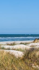 Preview wallpaper grass, beach, sea, waves, horizon, sky, landscape