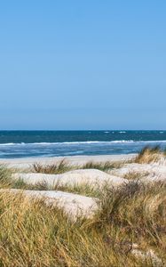 Preview wallpaper grass, beach, sea, waves, horizon, sky, landscape