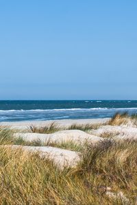 Preview wallpaper grass, beach, sea, waves, horizon, sky, landscape