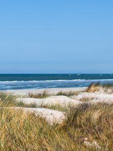 Preview wallpaper grass, beach, sea, waves, horizon, sky, landscape