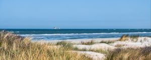 Preview wallpaper grass, beach, sea, waves, horizon, sky, landscape