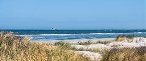 Preview wallpaper grass, beach, sea, waves, horizon, sky, landscape