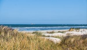 Preview wallpaper grass, beach, sea, waves, horizon, sky, landscape
