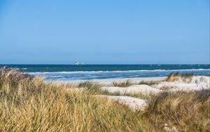 Preview wallpaper grass, beach, sea, waves, horizon, sky, landscape