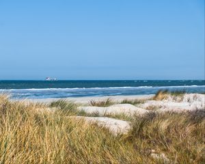Preview wallpaper grass, beach, sea, waves, horizon, sky, landscape