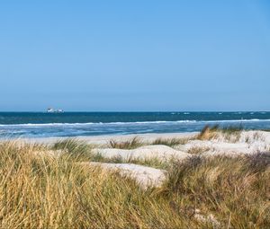 Preview wallpaper grass, beach, sea, waves, horizon, sky, landscape