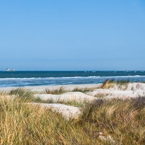 Preview wallpaper grass, beach, sea, waves, horizon, sky, landscape