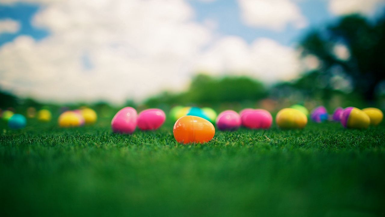 Wallpaper grass, beads, colorful, bright