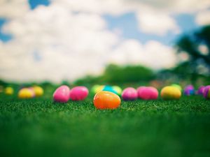 Preview wallpaper grass, beads, colorful, bright