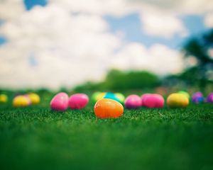 Preview wallpaper grass, beads, colorful, bright