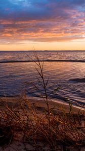 Preview wallpaper grass, branch, river, horizon