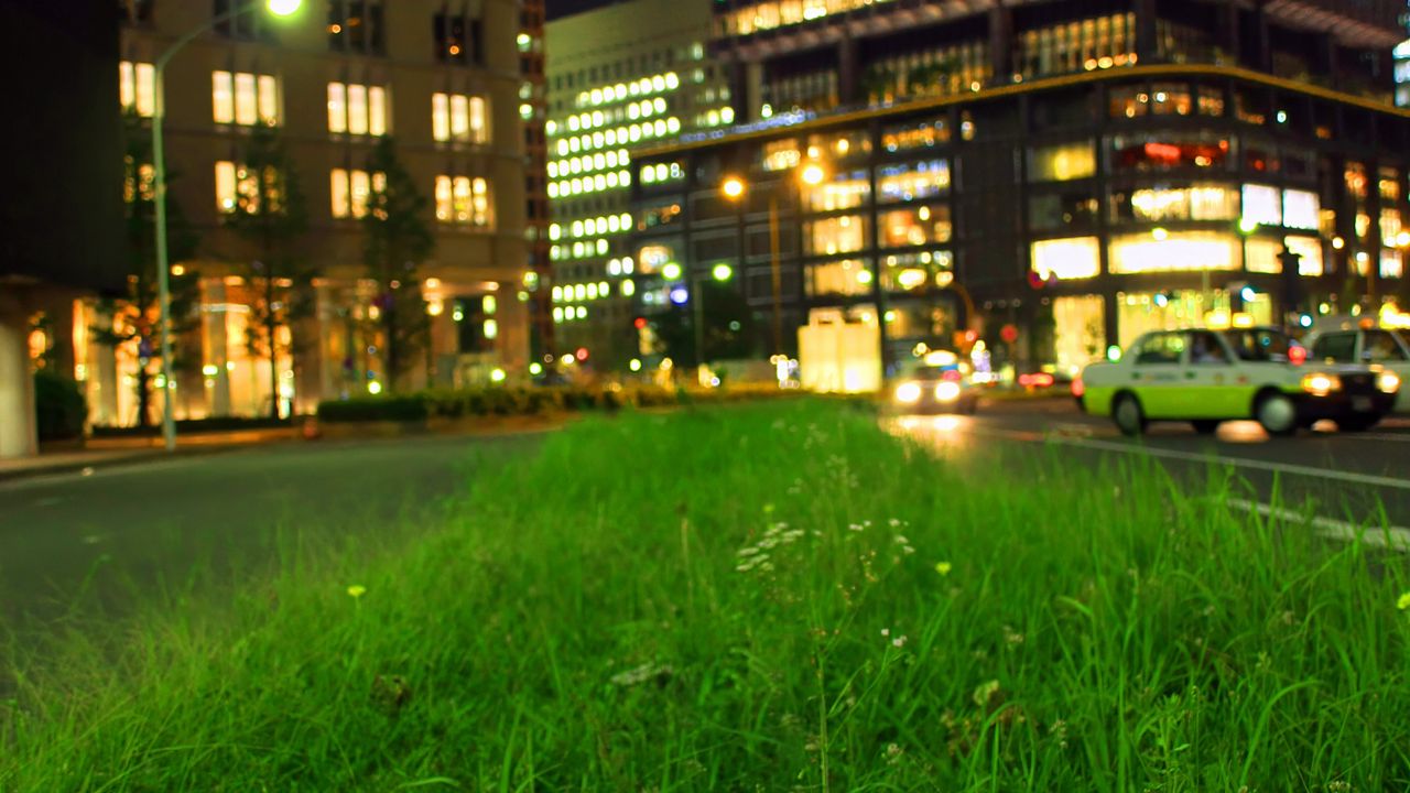 Wallpaper grass, buildings, lights, city