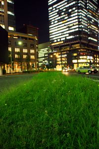 Preview wallpaper grass, buildings, lights, city