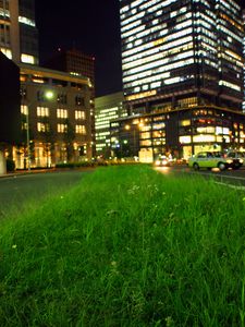 Preview wallpaper grass, buildings, lights, city