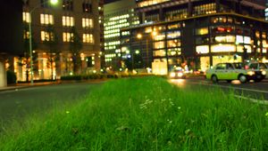Preview wallpaper grass, buildings, lights, city