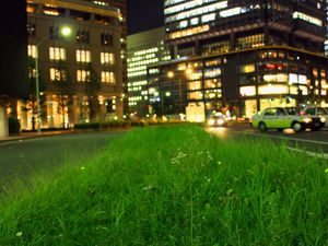 Preview wallpaper grass, buildings, lights, city